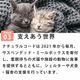 ǭ���ʥ����륳���ɡ����å��󥰥�����������NC10 �ޥ����ȥ��饹��85g����ǭ�ѡ����̿��������ꥢ�֥��ɡ��̵͡ʥե졼�������ס�