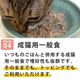 ǭ���ʥ����륳���ɡ����å��󥰥�����������NC10 �ޥ����ȥ��饹��85g����ǭ�ѡ����̿��������ꥢ�֥��ɡ��̵͡ʥե졼�������ס�
