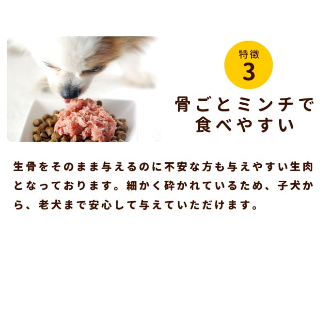  ù񻺡ܥͥåȥߥ ڿʷܥߥۡǤޤۢǭˤ⤴Ѥޤ