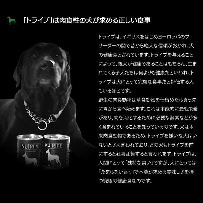 無添加 缶ドッグフード｜ニュートライプ・ベニソンとラム