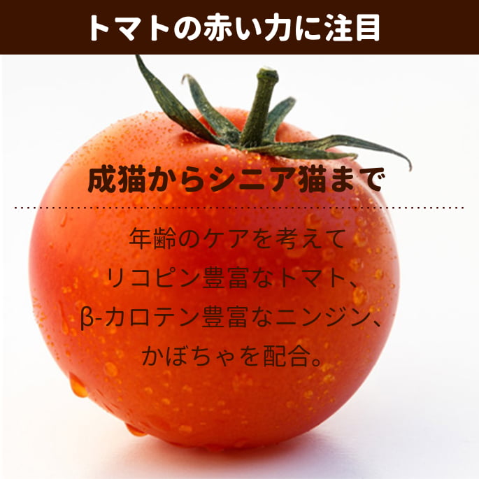 ����ȥ꡼������ ��ȥ�ȡåե����饤�󥢥ɥХ󥹡���������ȥޥ� 70g��������ܿ�����ǭ�����˥�ǭ�б�