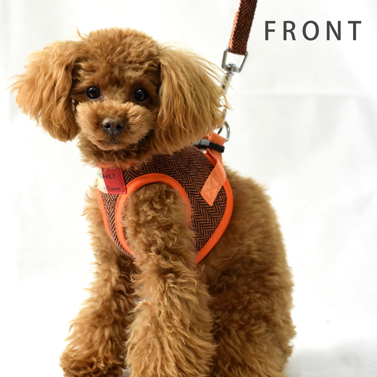 ASHUϡͥ ⡼ɥå SS()