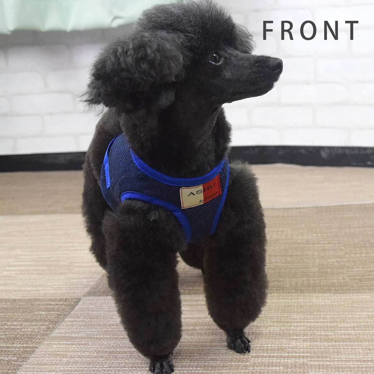 ASHUϡͥ ⡼ɥå SS()