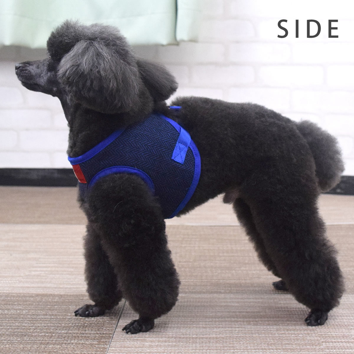 ASHUϡͥ ⡼ɥå SS()