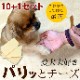 愛犬に　ご褒美しつけ用　パリッとチーズ　10個+１個セット|チーズ・ミルク|犬用無添加おやつ