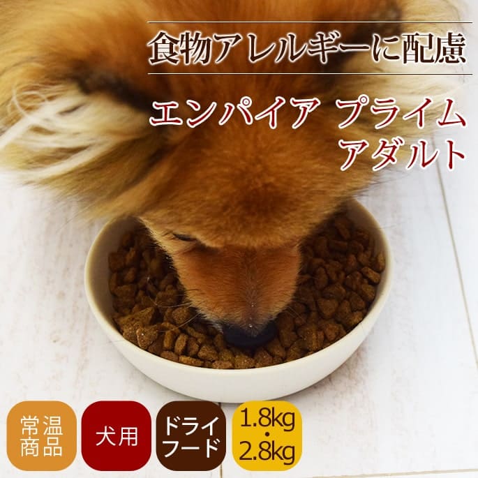 ������ �ɥå��ա��� ����ѥ��� �ץ饤�� �������