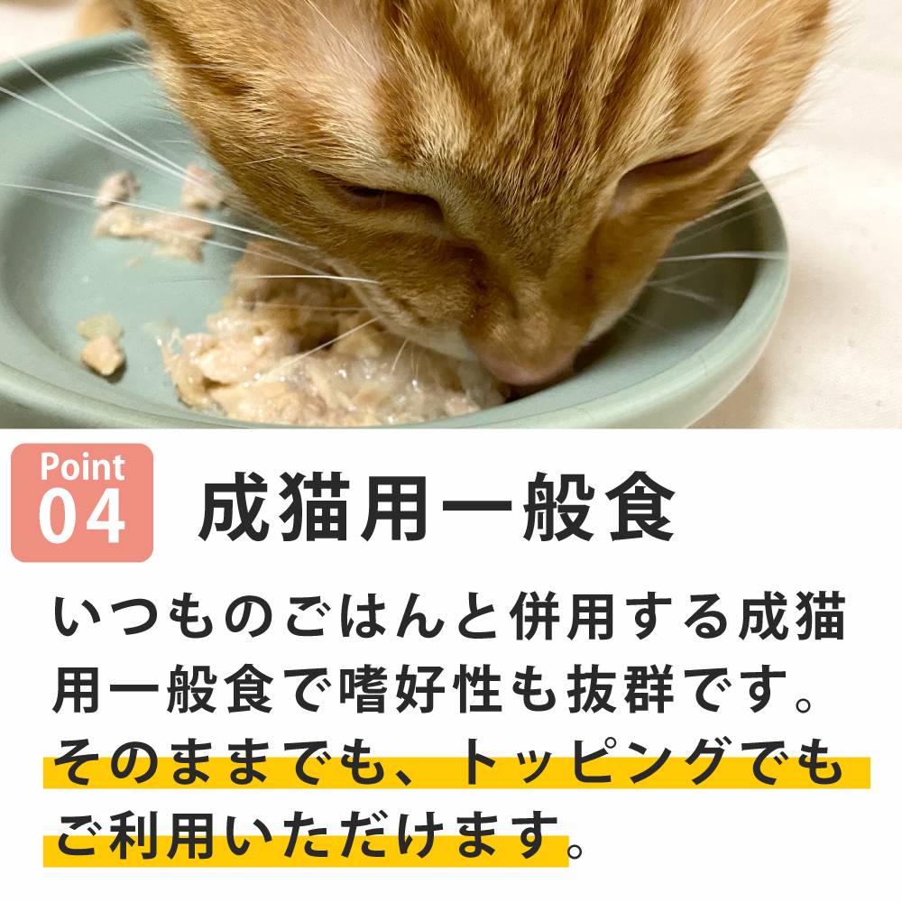 ǭ���ʥ����륳���ɡ����å��󥰥����������ʥ��꡼�����סˡ�NC13 �ޥ����ȥ�������85g����ǭ�ѡ����̿��������ꥢ�֥��ɡ��̵͡ʥե졼�������ס�