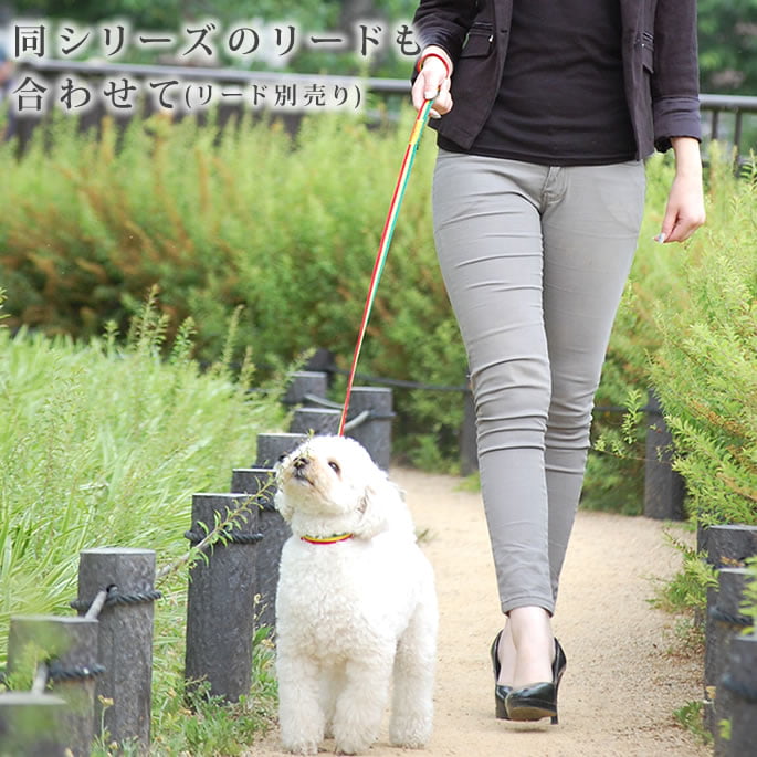 �������Ѽ��ء�ASHU���饹���������顼��S������