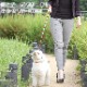 �������Ѽ��ء�ASHU���饹���������顼��S������