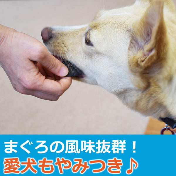 ���Ѥ���ġ�̵ź�óͤ줿�� �ޤ������å� 50g ����á�a0320�ۢ���ǭ�ˤ⤴���Ѥ��������ޤ�
