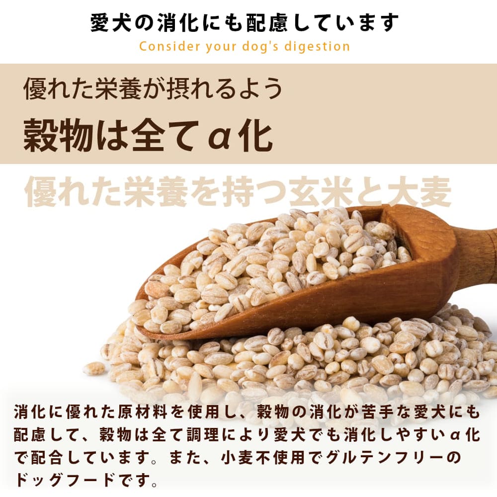 ̵&ޤդۥۥꥹƥåå եå(ŷܤε) 4kg (1kg4)