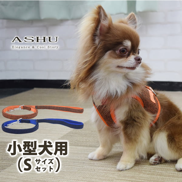 ASHUϡͥ ⡼ɥå S()