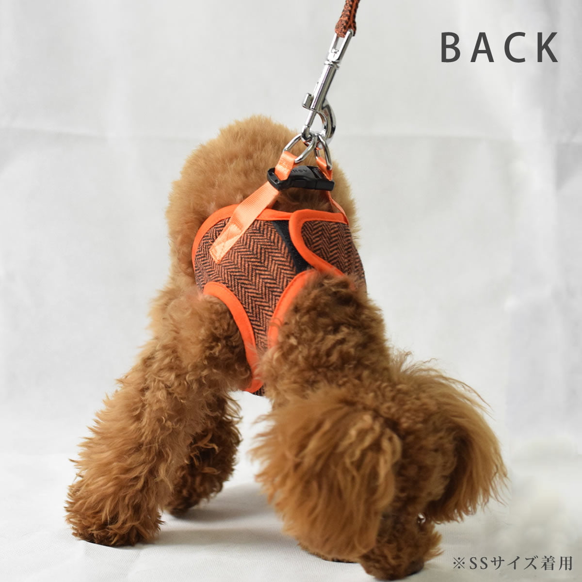 ASHUϡͥ ⡼ɥå S()