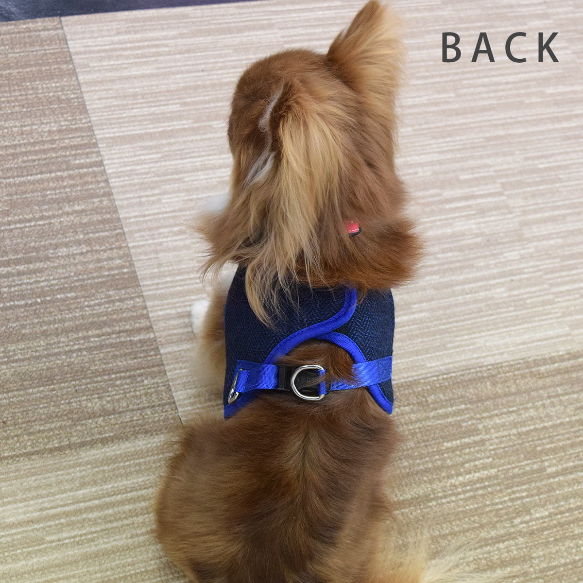 ASHUϡͥ ⡼ɥå S()