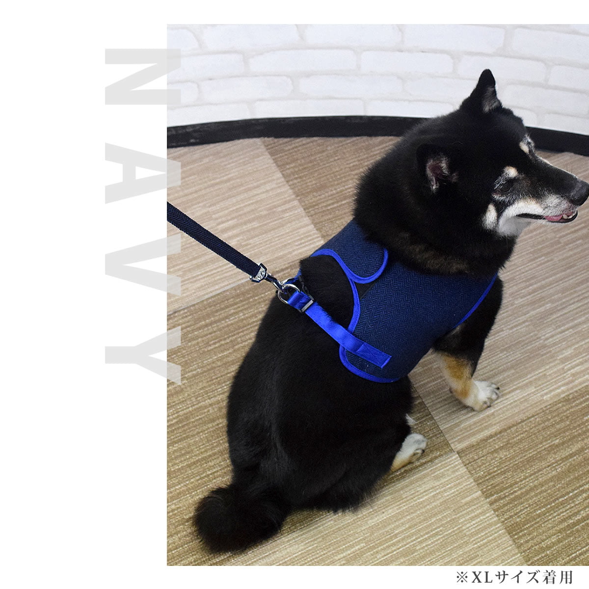 ASHUϡͥ ⡼ɥå S()