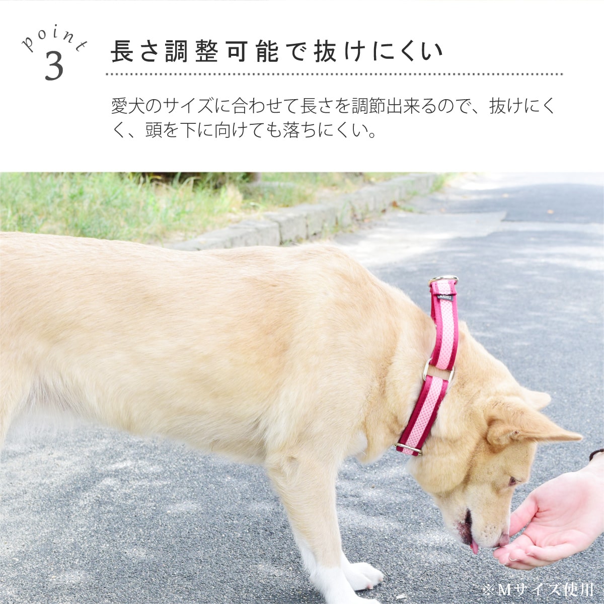 ASHU ���� ��������쥹 �ϡ��ե��硼��   �ץ�ߥ����顼 S����������������