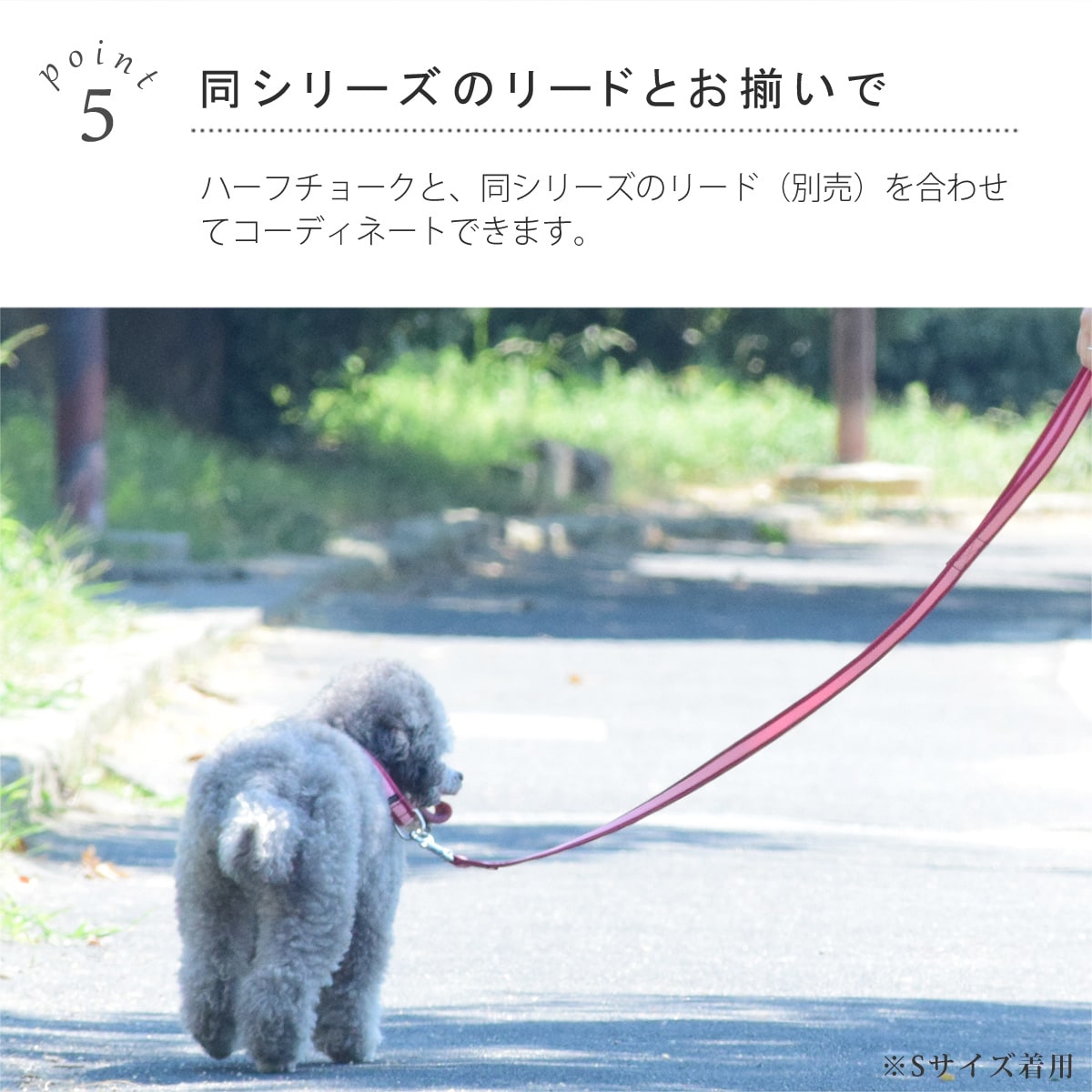 ASHU ���� ��������쥹 �ϡ��ե��硼��   �ץ�ߥ����顼 S����������������