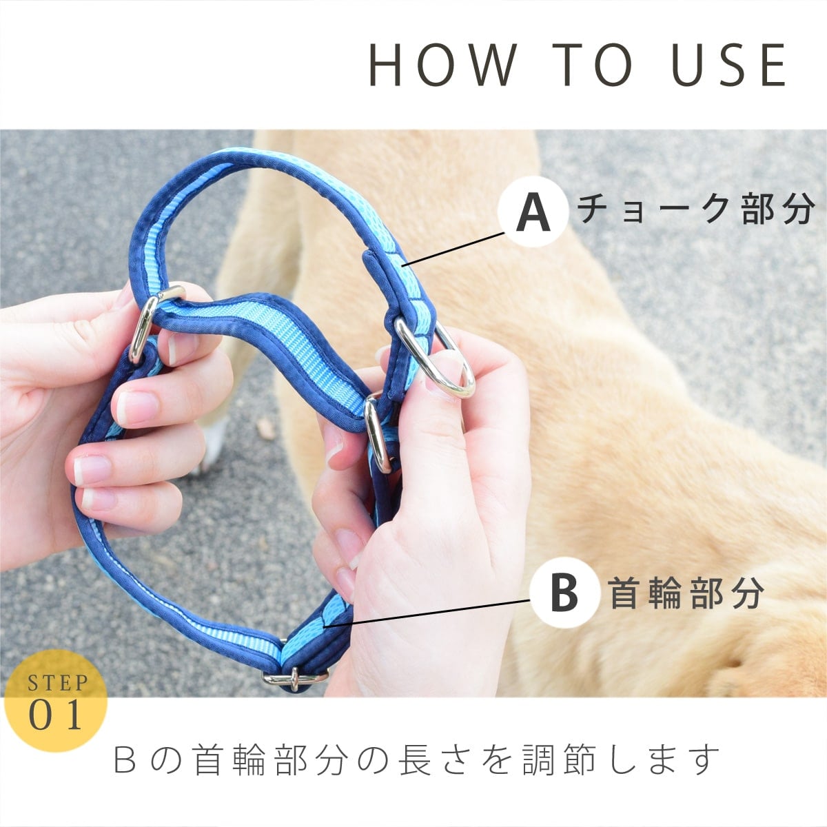 ASHU ���� ��������쥹 �ϡ��ե��硼��   �ץ�ߥ����顼 S����������������