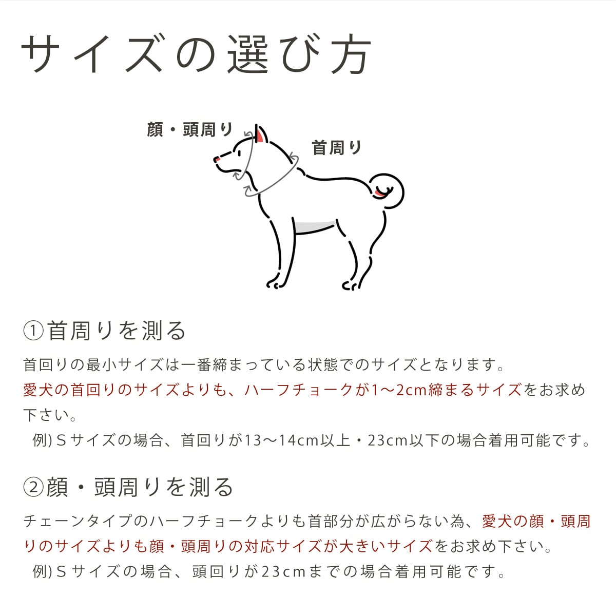 ASHU ���� ��������쥹 �ϡ��ե��硼��   �ץ�ߥ����顼 S����������������