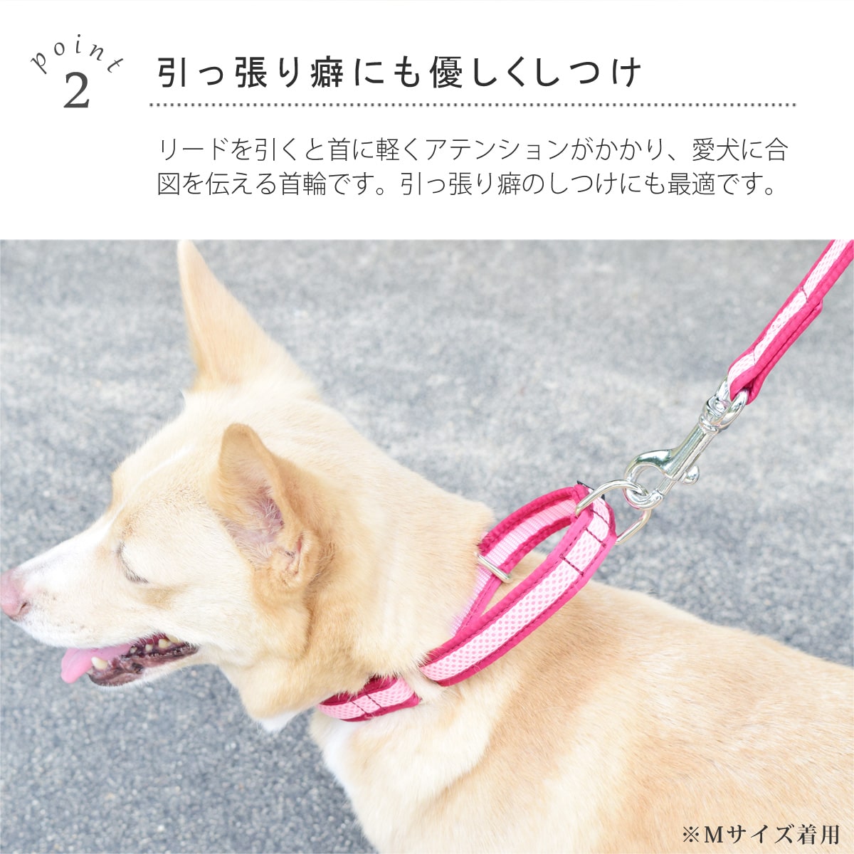 ASHU ���� ��������쥹 �ϡ��ե��硼��   �ץ�ߥ����顼 S����������������