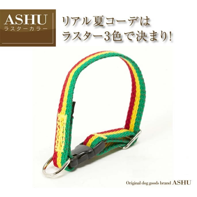 �淿���Ѽ��ء�ASHU���饹���������顼��M������