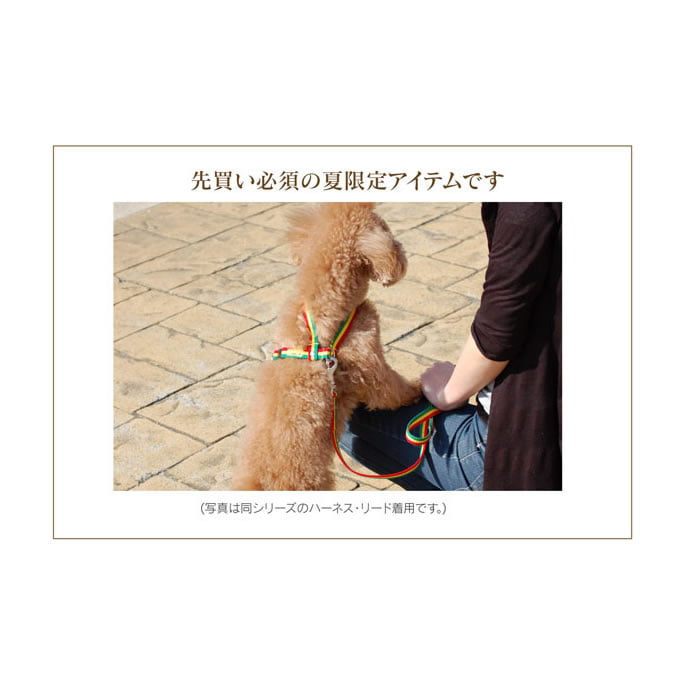 �淿���Ѽ��ء�ASHU���饹���������顼��M������