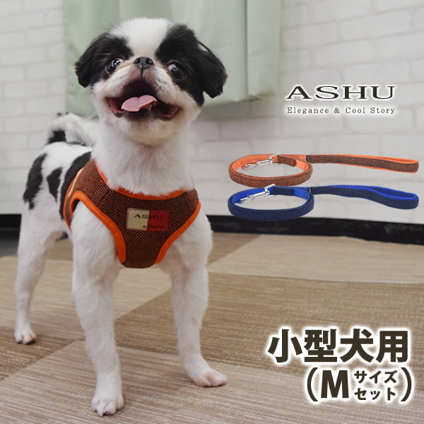 ASHUϡͥ ⡼ɥå M()