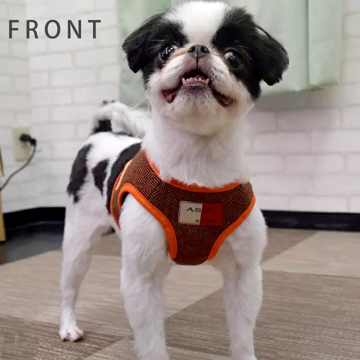 ASHUϡͥ ⡼ɥå M()