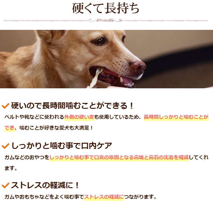 �����ѥ��� �񻺵���ٴ�������ϡ��� 5�ޥ��å�