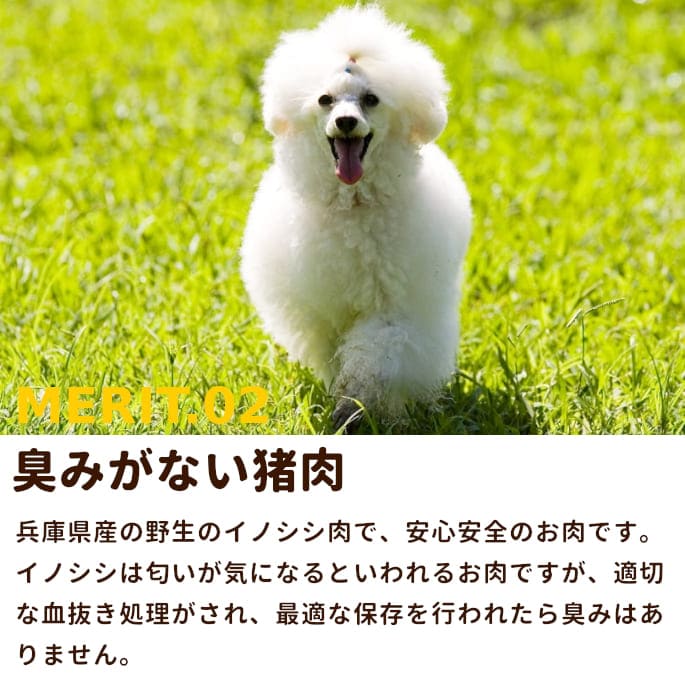 犬用 冷凍生肉 シシ肉ミンチ小分けトレー 5kg+500g ドッグフード