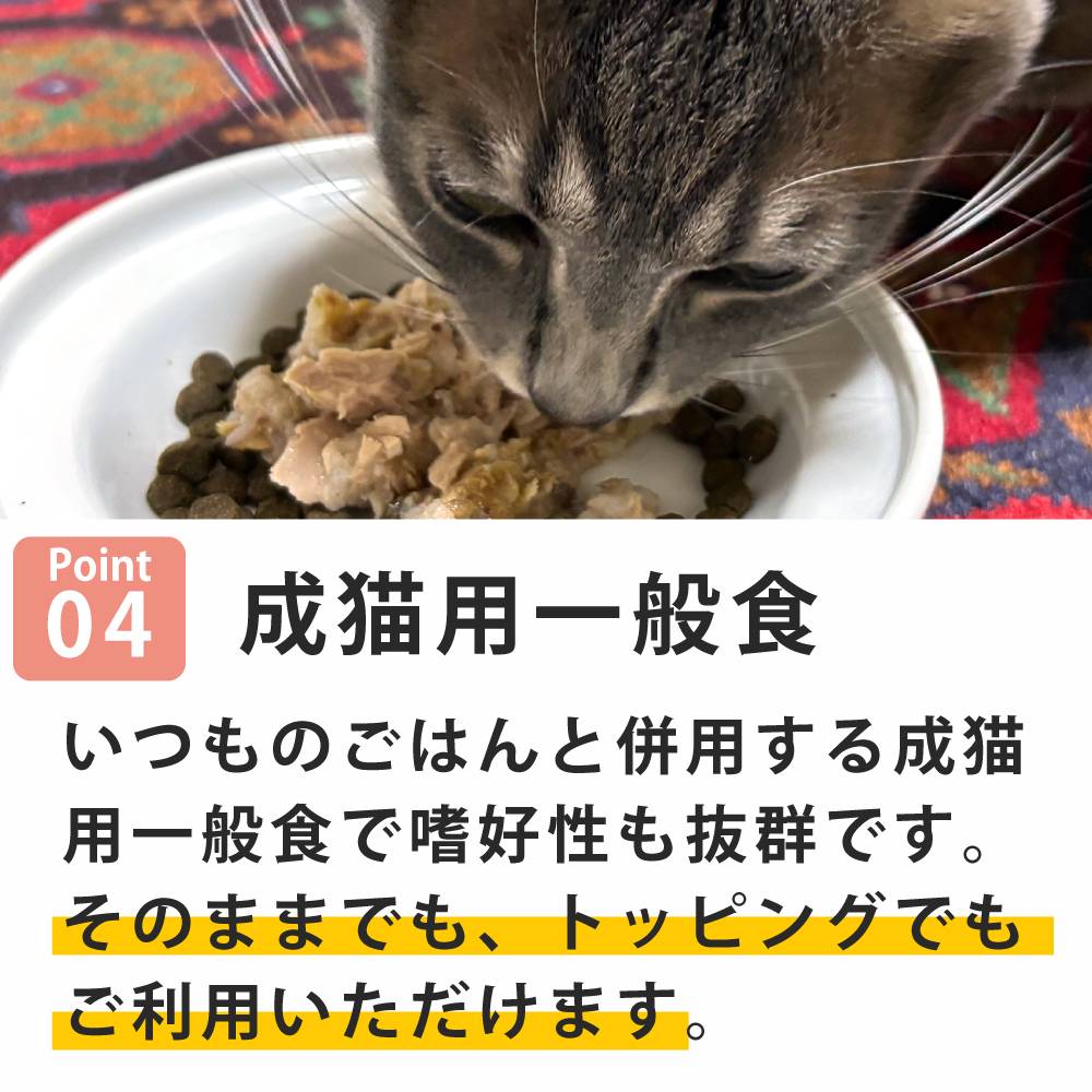 ǭ���ʥ����륳���ɡ����եȥ����꡼��NC32 �ޥ��� �����٥꡼���ꡡ85g����ǭ�ѡ����̿��������ꥢ�֥��ɡ��̵͡�ȯ�䵭ǰ �������ʬ����20�󥪥աʤʤ��ʤ꼡�轪λ�ˡ�