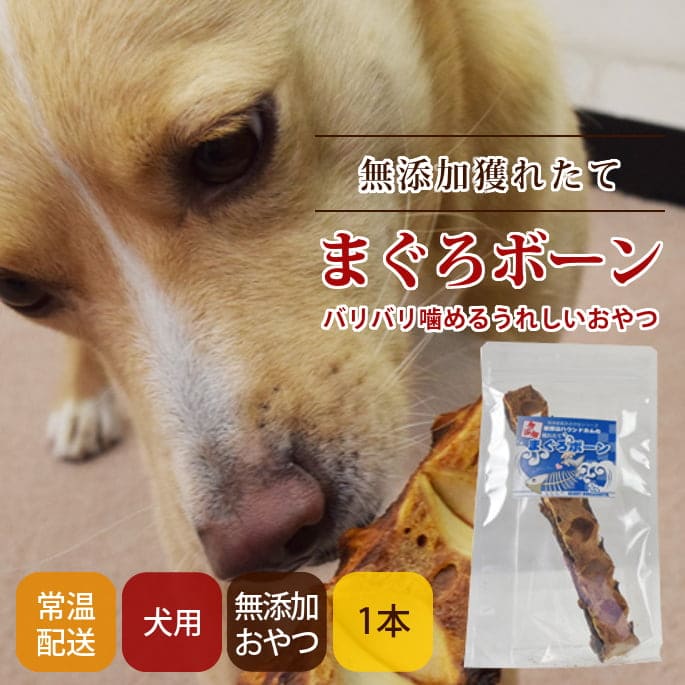 ���Ѥ���ġ�̵ź�óͤ줿�� �ޤ����ܡ����a0318��