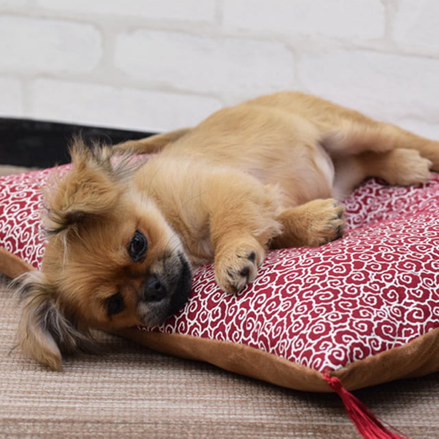 ������ǭ�ѥ٥åɡ���������ġ�S���֡���������ǭ