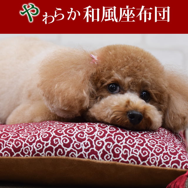 ������ǭ�ѥ٥åɡ���������ġ�S���֡���������ǭ