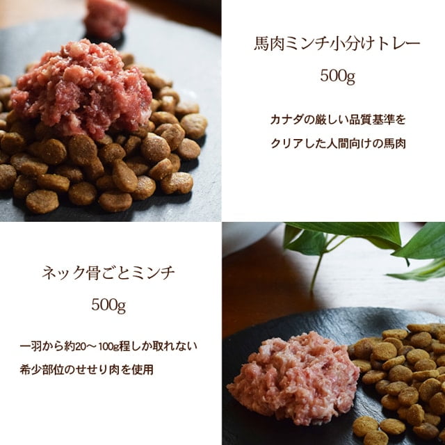 �����ѥ��եȥ��åȡ����������ں�3�糧�å�