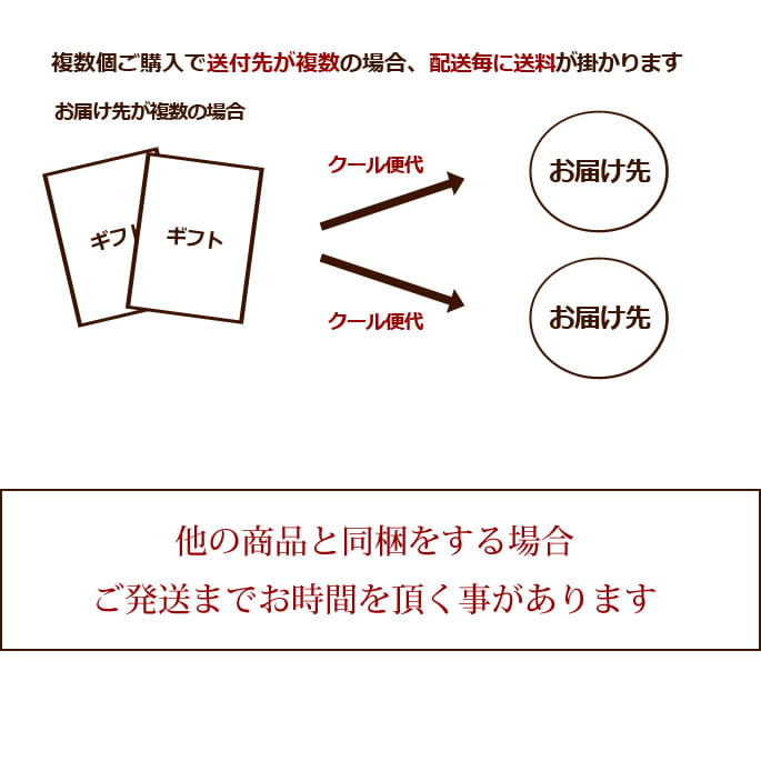 �����ѥ��եȥ��åȡ����������ں�3�糧�å�