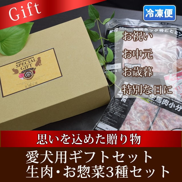 �����ѥ��եȥ��åȡ����������ں�3�糧�å�