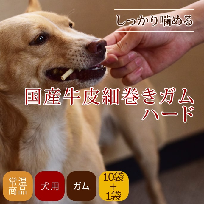 �����ѥ��� �񻺵���ٴ�������ϡ��� 10�ޥ��å�+1��