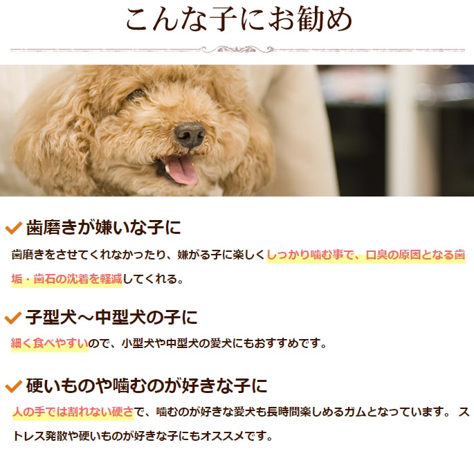 �����ѥ��� �񻺵���ٴ�������ϡ��� 10�ޥ��å�+1��