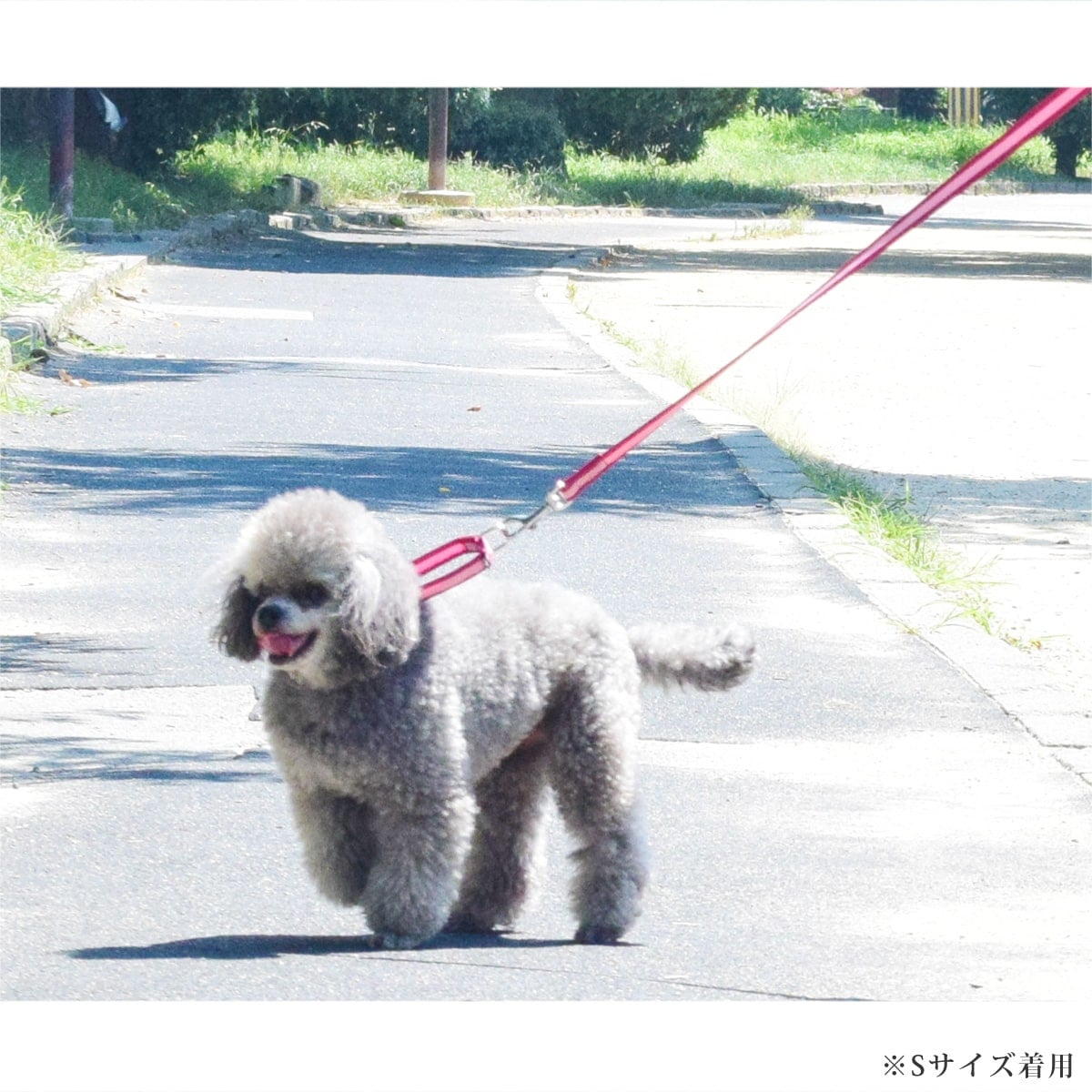 ASHU ���� ��������쥹 �ϡ��ե��硼�� �ץ�ߥ����顼 M���������淿����