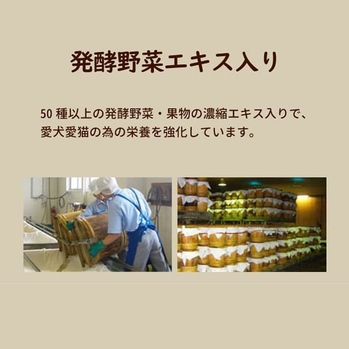 ��ǭ�� �����פ���ڤΥ��å� �����������ۡ��ޤ���������꿩���꡼�������������ס��������