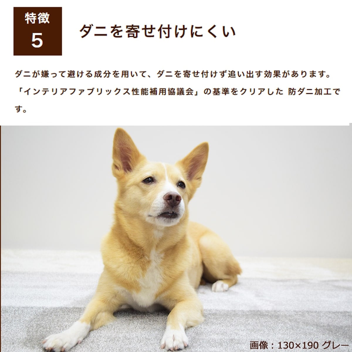 �ڰ�����ǭ�ѡ� �ý��饰 �殺 ���������� ���᡼����ľ����