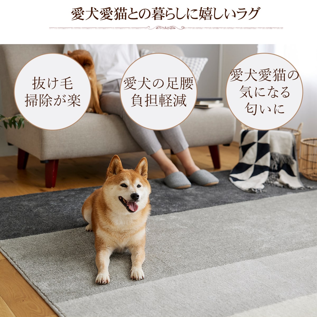 �ڰ�����ǭ�ѡ� �ý��饰 �殺 ���������� ���᡼����ľ����