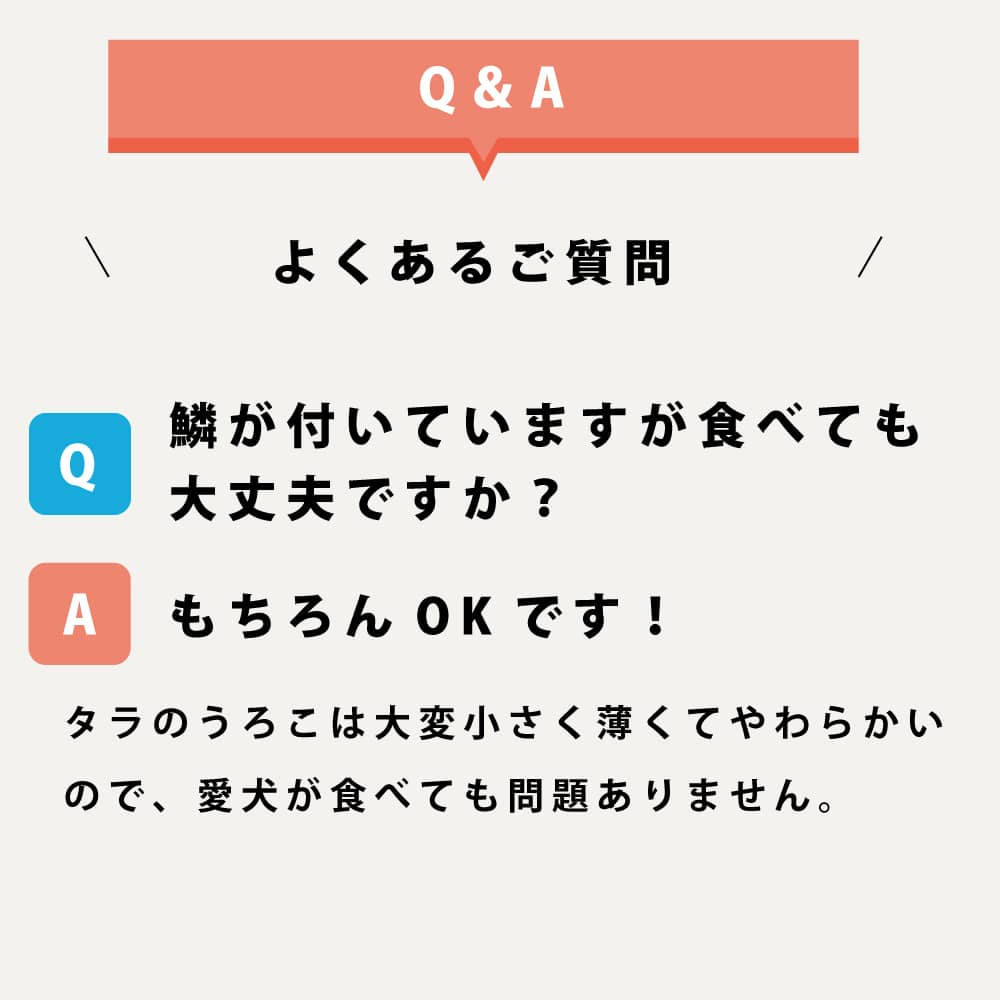 �淿�����緿���ѥ��� �����������ϡ��ɡ�1�ޤ�����5������