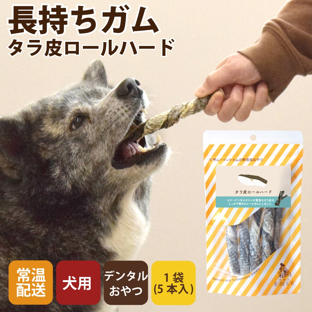 �淿�����緿���ѥ��� �����������ϡ��ɡ�1�ޤ�����5������