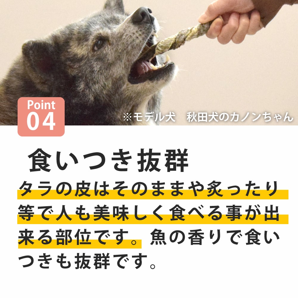 �淿�����緿���ѥ��� �����������ϡ��ɡ�1�ޤ�����5������