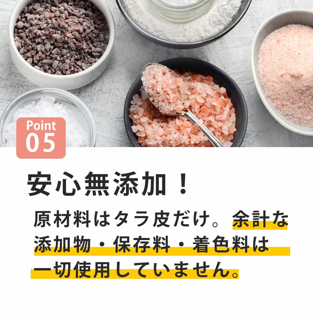 �淿�����緿���ѥ��� �����������ϡ��ɡ�1�ޤ�����5������