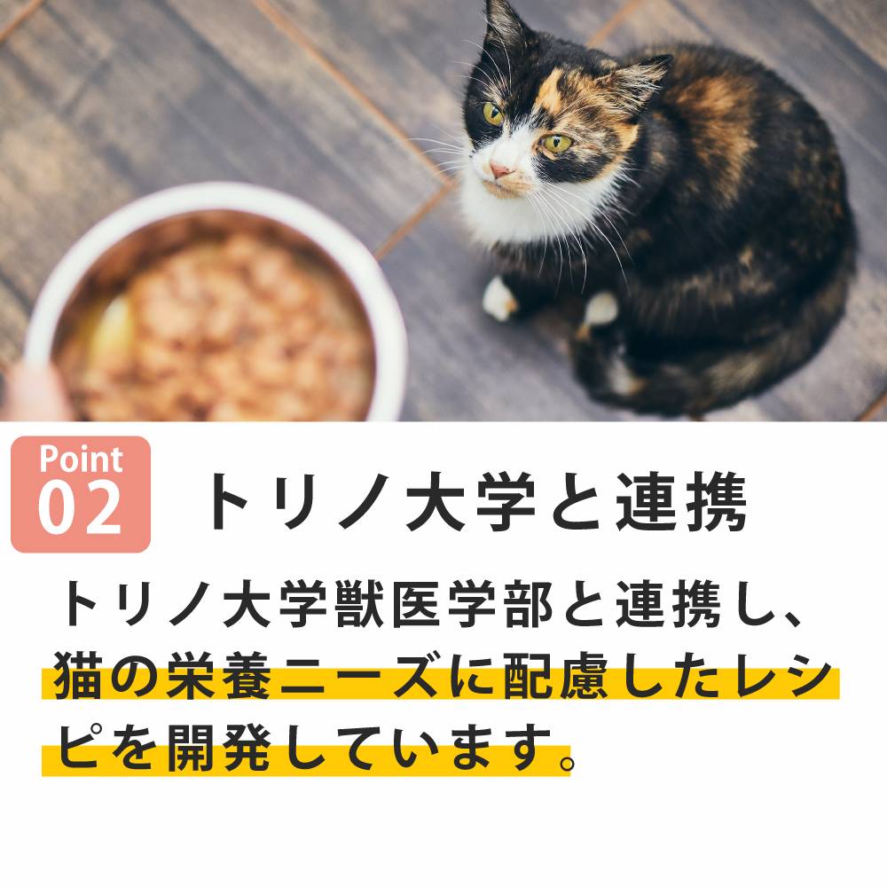 ǭ���ʥ����륳���ɡ�NC�����å륿������N7�������󡡥�����ץ����塼�ȡ�85g����ǭ�ѡ����̿��������ꥢ�֥��ɡ��̵͡ʥݥ������奿���ס�