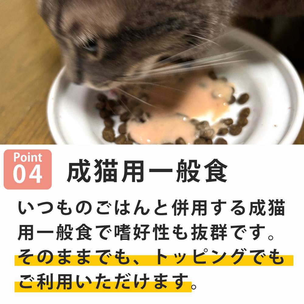 ǭ���ʥ����륳���ɡ�NC�����å륿������N7�������󡡥�����ץ����塼�ȡ�85g����ǭ�ѡ����̿��������ꥢ�֥��ɡ��̵͡ʥݥ������奿���ס�