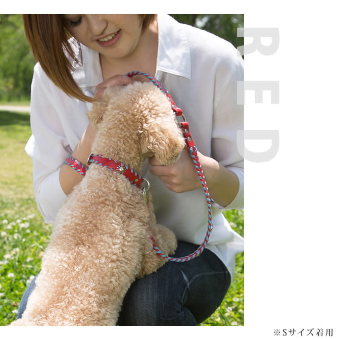 �������ѥ꡼�ɡ�ASHU�������ɥ롼�ץ쥶���꡼�ɡ���������